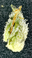 Lemon Tree-2