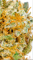 OG Kush Breath - Rise-8