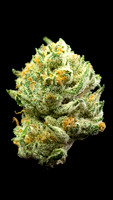 double stuffed-007