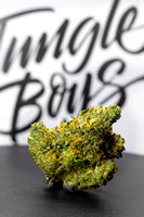 Gelato 33 - JB-17