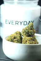 Beaver Cookies - GD-026