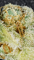 Space Lime - Cookies-15