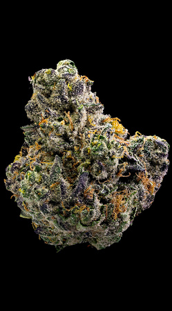 Cookies Blue Raz-1