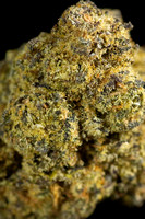 Grape Gas - SB-4