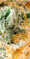 OG Kush Breath - Rise-12