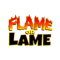 Flame or Lame banner v20 copy