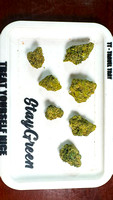 Stardawg x Northern Lights Cura-15