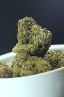 Beaver Cookies - GD-028