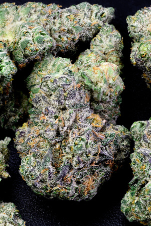 Cookies Blue Raz-12