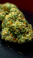 Cookies Red Velvet-12