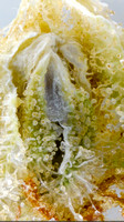 OG Kush Breath - Rise-10
