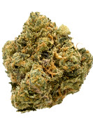 Zkusherz - Insa-2