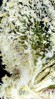 2025-04-06 19-27-28 (C,S3)