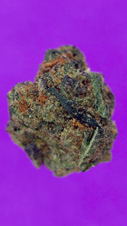 Purple Milk + Cookies - Green Dragon-2