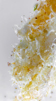 Green Dragon Churro Sex Grenade-14