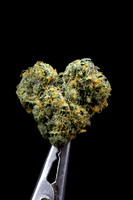 RS 11 - Cookies-19