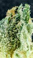 Pacman - Cookies-10