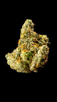 Gelato 33 - JB-1