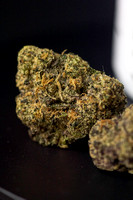 ice P - Reserve - Insa-8