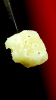 08-25-24  Strawberry Cough 2 Green Dragon