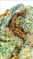 Green Dragon Churro Sex Grenade-15
