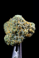 RS 11 - Cookies-18