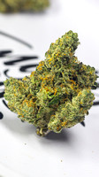 Gelato 33 - JB-13