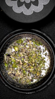 05-06-25 Snow Caps - Bud Kingz-17