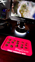 08-21-24 Blue Verde Cookies - GD