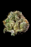 ice P - Reserve - Insa-5
